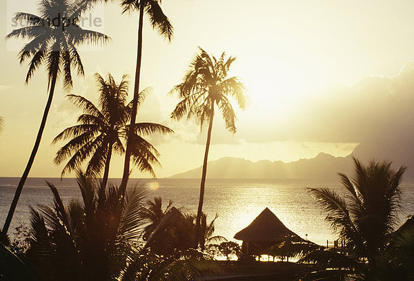 Sonnenuntergang Hotel Französisch-Polynesien Papeete Tahiti
