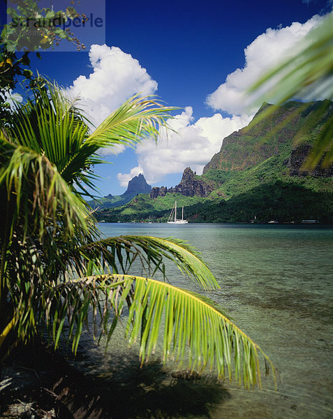 Tretboot  vertäut  Ansicht  Bucht  Französisch-Polynesien