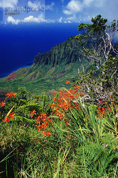 Hawaii  Kauai  Na Pali Coast