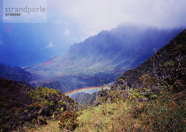 Schönheit  Steilküste  grün  Tal  Ignoranz  Hawaii  Kauai  Regenbogen