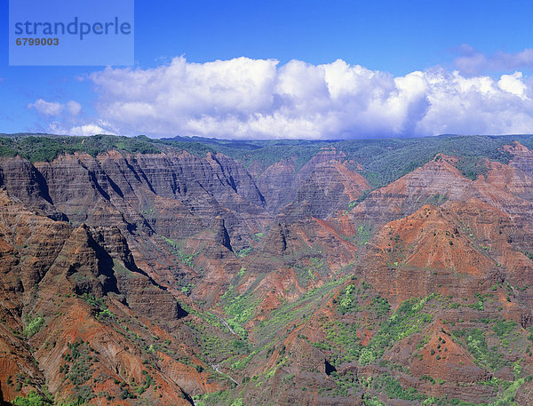 Ehrfurcht  Pazifischer Ozean  Pazifik  Stiller Ozean  Großer Ozean  Schlucht  Hawaii  Kauai  Waimea