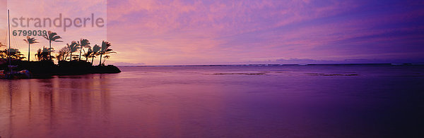 Schönheit  Sonnenuntergang  über  Ozean  pink
