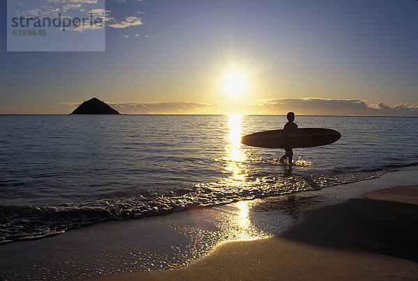 Wasserrand  Silhouette  Sonnenaufgang  Hawaii