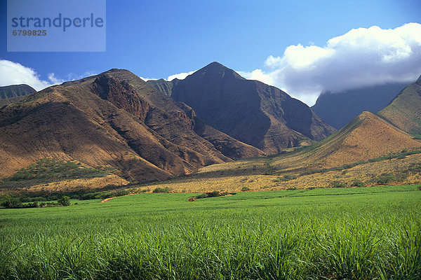 Berg  Hawaii  Maui