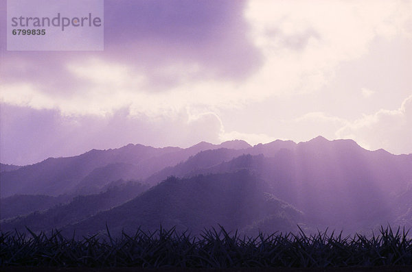 Berg  Sonnenlicht  Gebirgszug  Hawaii  Oahu  Sonne