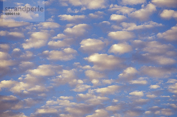 Wolke  Himmel  blau  Größe