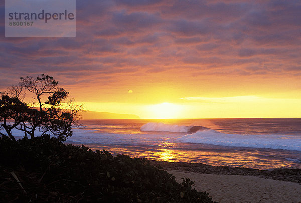 Hawaii North Shore Oahu