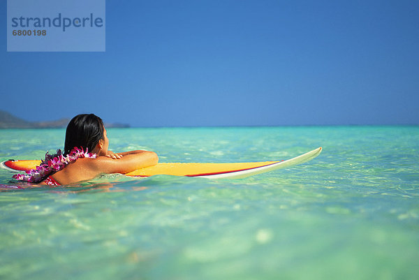 durchsichtig  transparent  transparente  transparentes  Wasser  Frau  ruhen  Surfboard  hinaussehen  Krickente  Anas crecca  Hawaii  Oahu