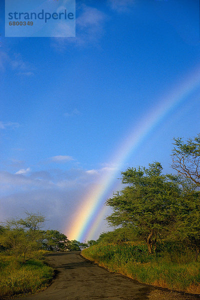 Hawaii  Big Island  Hawaii  Regenbogen