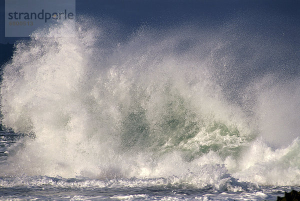 Hawaii  North Shore  Oahu