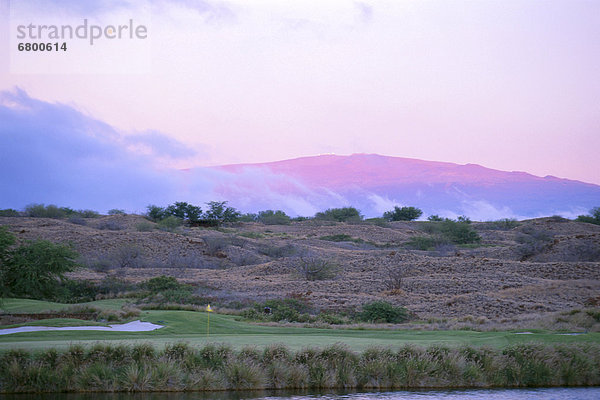 Hawaii  Big Island  Hintergrund  pink  Hawaii