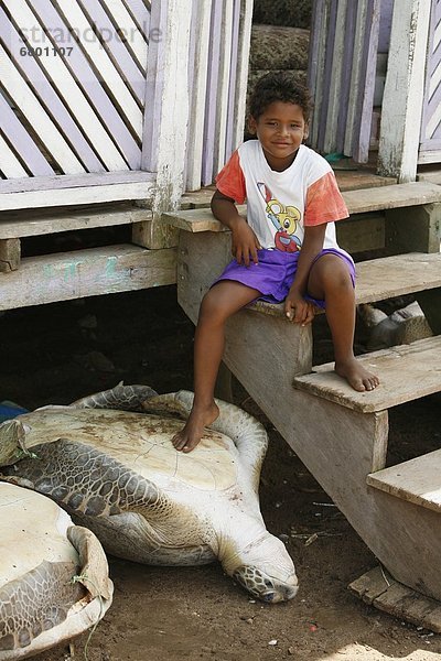 Wasserschildkröte Schildkröte Junge - Person jung Nicaragua