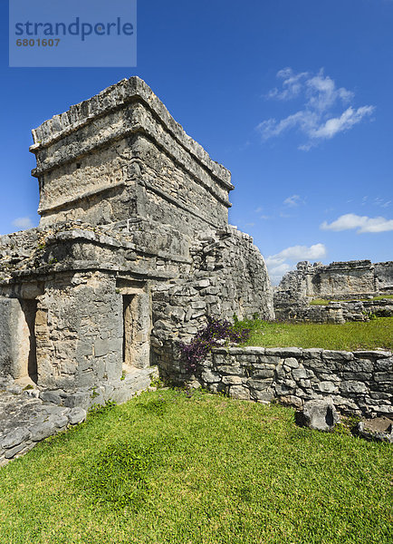 Ruine  Maya  antik