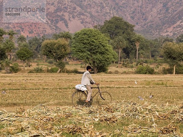 Junge - Person  Hügel  fahren  Weg  Agrarland  vorwärts  Fahrrad  Rad  Indien  Rajasthan