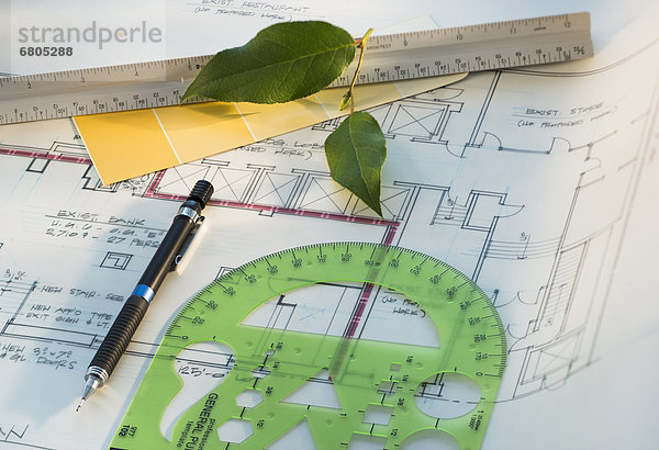 Studio shot of blueprint  rulers and green leaf