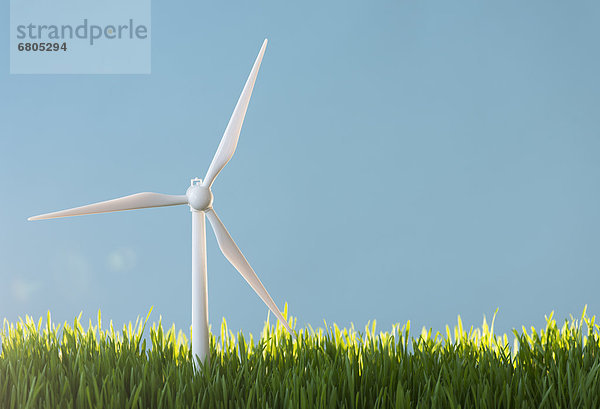 Windturbine Windrad Windräder Modell Gras