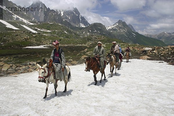 Esel  Berg  Mann  fahren  Himalaya  Indien  Schnee