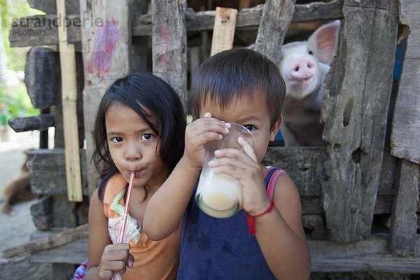 Außenaufnahme  Getränk  Junge - Person  jung  Philippinen  Mädchen  Milch  freie Natur  Schwein