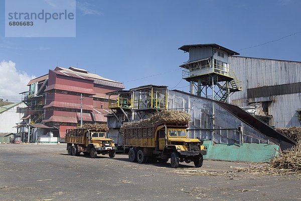 Spazierstock  Stock  Mühle  beladen  Lastkraftwagen  Zucker  Philippinen  bringen  roh