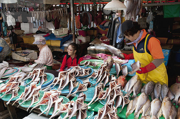 zeigen Fisch Pisces Frische Verkäufer Markt