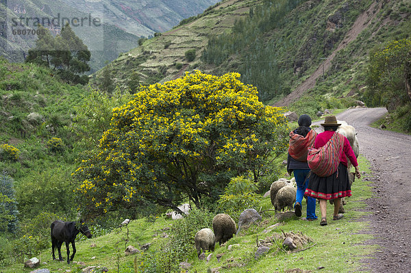 Berg  Mensch  zwei Personen  Menschen  gehen  Tier  Fernverkehrsstraße  2  Anden  Peru