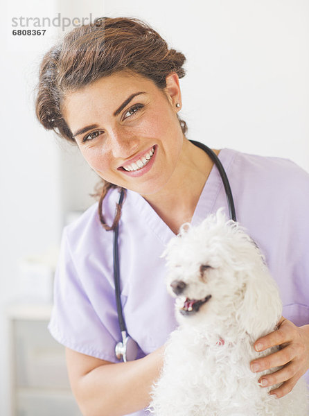 Portrait  Hund  Tierarzt