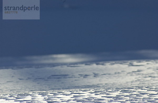 bedecken  Feld  Schnee