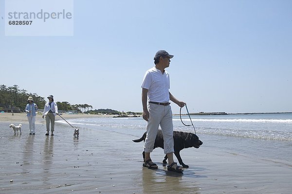 Mensch Menschen gehen Strand Hund