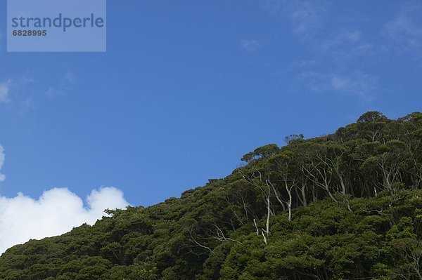 Japan  Shizuoka Präfektur