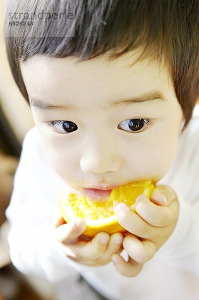 Junge - Person  klein  Scheibe  essen  essend  isst