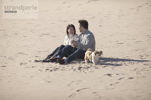 sitzend  lächeln  Strand  Hund