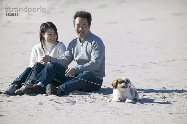 sitzend  lächeln  Strand  Hund