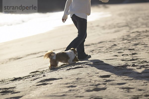 Frau  gehen  Strand  Hund