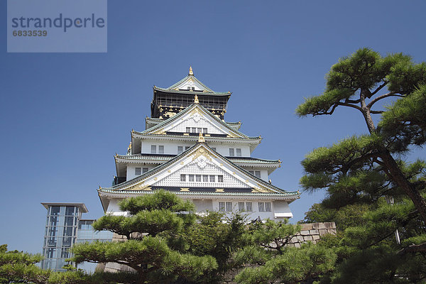 Burg Osaka