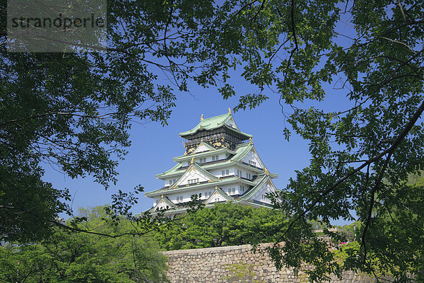 Palast  Schloß  Schlösser  Ast  Osaka