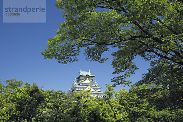 Burg Osaka