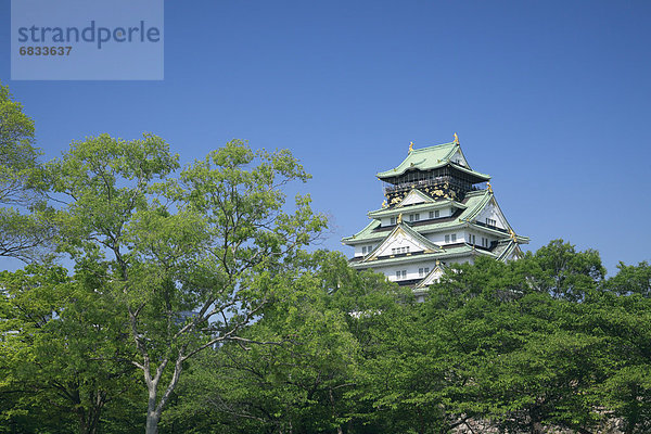 Burg Osaka