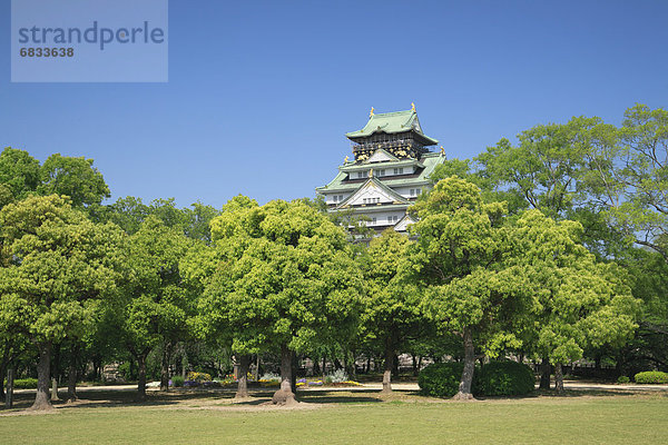 Burg Osaka