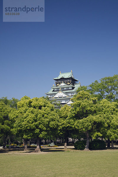 Burg Osaka