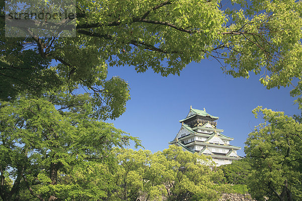 Burg Osaka