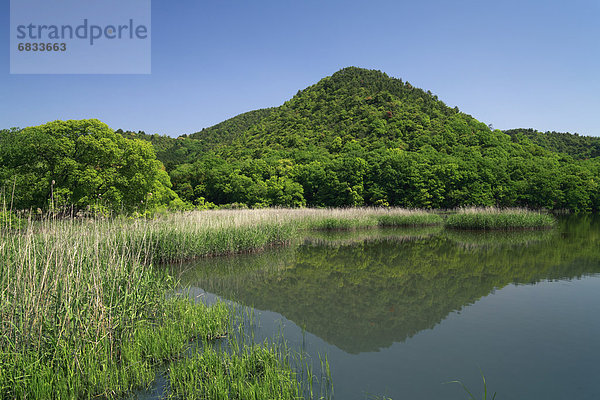 Hirosawano-ike Pond