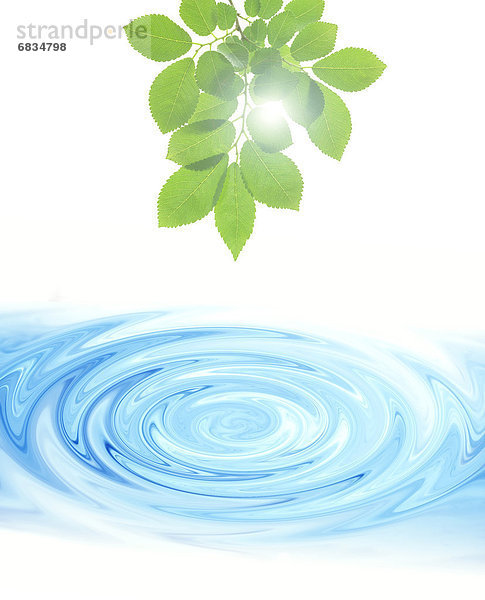 Wasser  über  grün  Ast  gewellt  Pflanzenblatt  Pflanzenblätter  Blatt