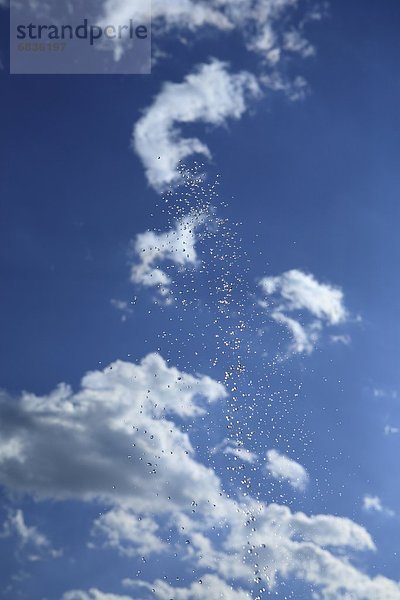 Wasser  Wassertropfen  Tropfen  besprühen  Himmel  blau