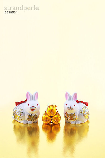 Ornamental Rabbits