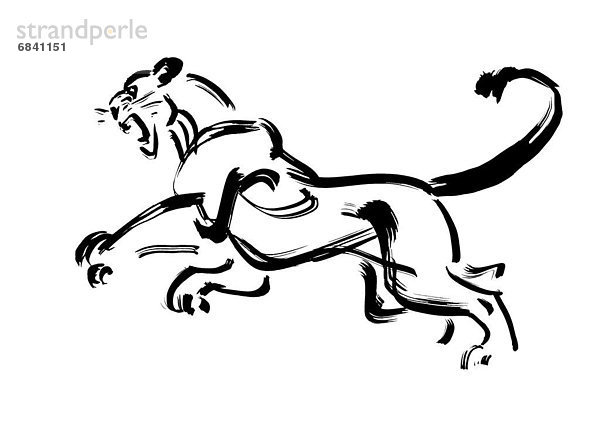 Pouncing Lion  Black Ink Illustration