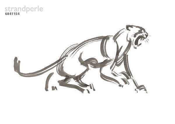 Howling Lion  Gray Ink Illustration