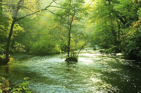 fließen  Hachimantai  Japan  Oirase