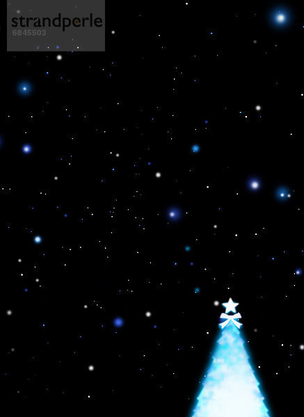 Nacht  Baum  Himmel  Weihnachten  Sternenhimmel