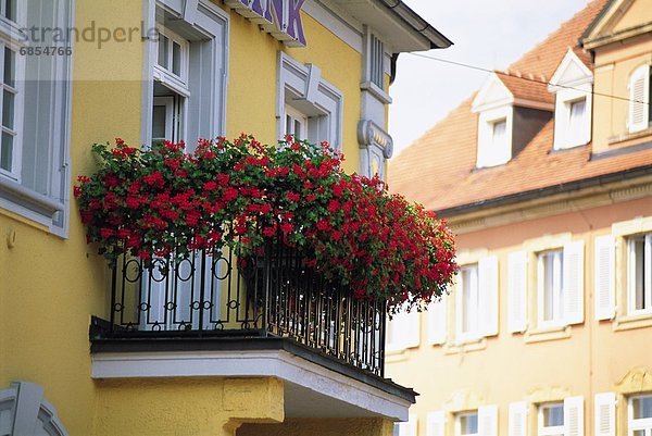 Frankreich Blume Wachstum Balkon rot