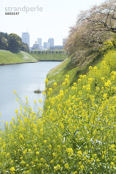 Tokyo  Hauptstadt  Honshu  Japan